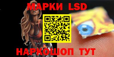 spice Ярославль