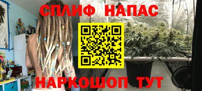 spice Ярославль