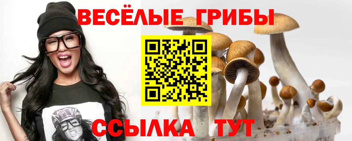 Псилоцибиновые грибы MAGIC MUSHROOMS  Вход с VPN  Коломна  сколько стоит  Псилоцибиновые грибы мицелий 